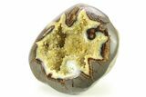Polished, Crystal Filled Septarian Nodule - Utah #272924-2